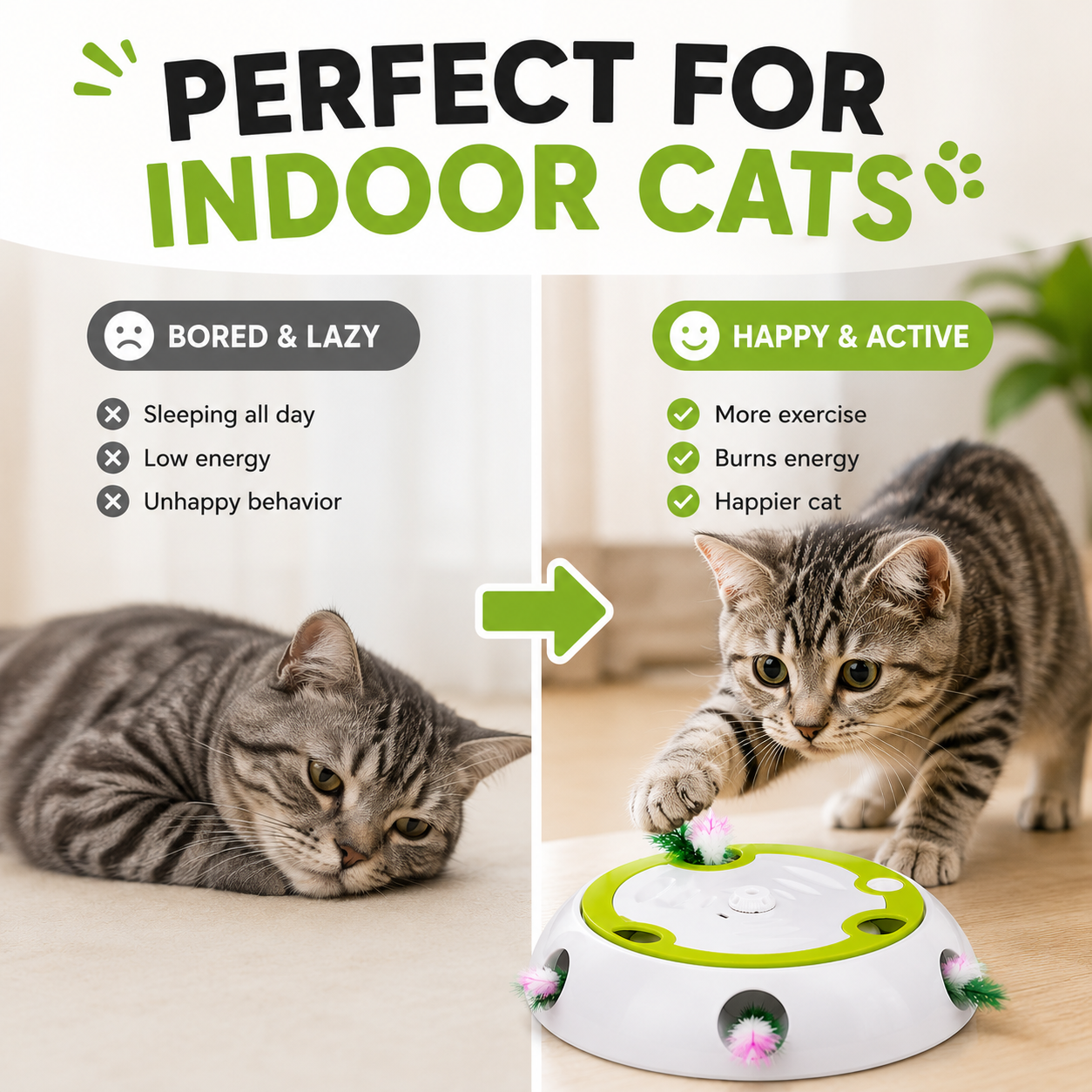 WhackPaw™ Interactive Cat Toy